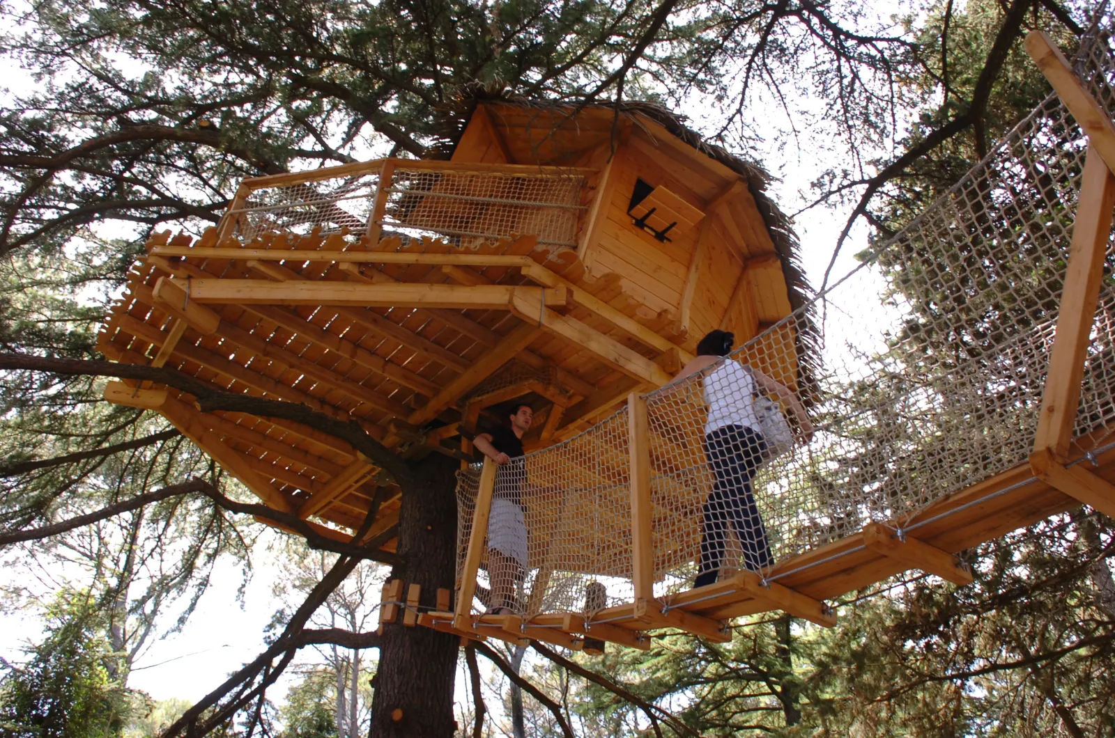 Cabane Grand Duc, Castries : image 3