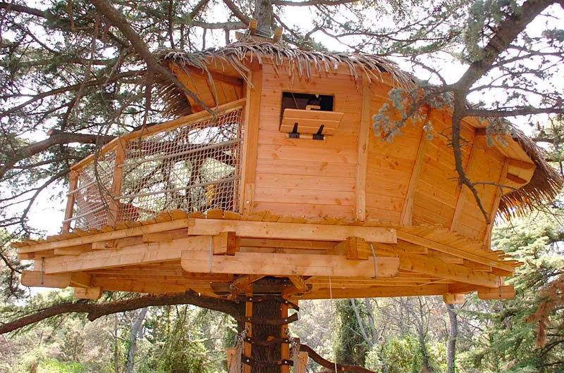 Cabane Grand Duc, Castries : image 4