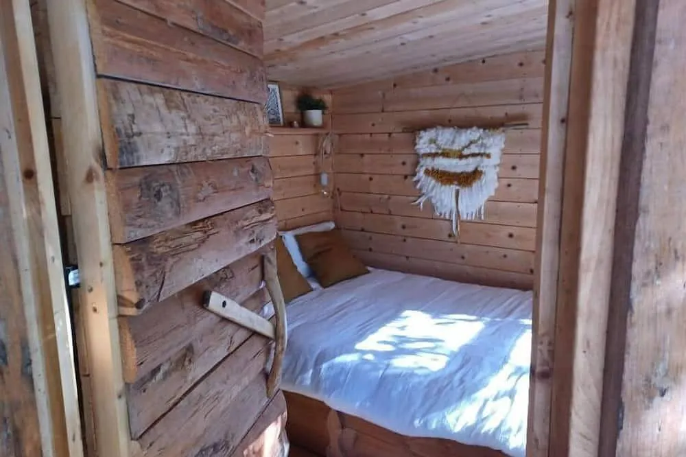 Cabane insolite sous les chênes, Murviel-lès-Béziers : image 2