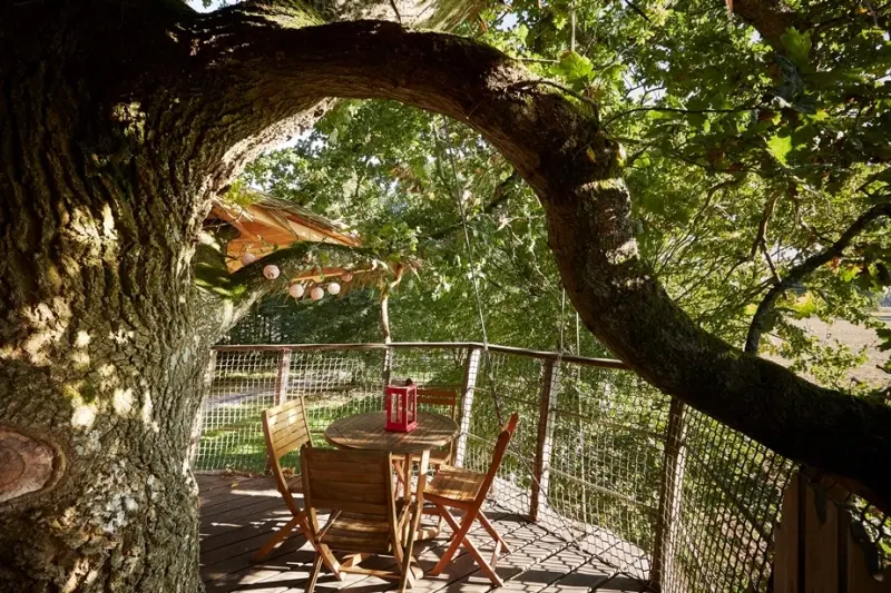 Cabane Monkey Tree, Longny les Villages : image 4