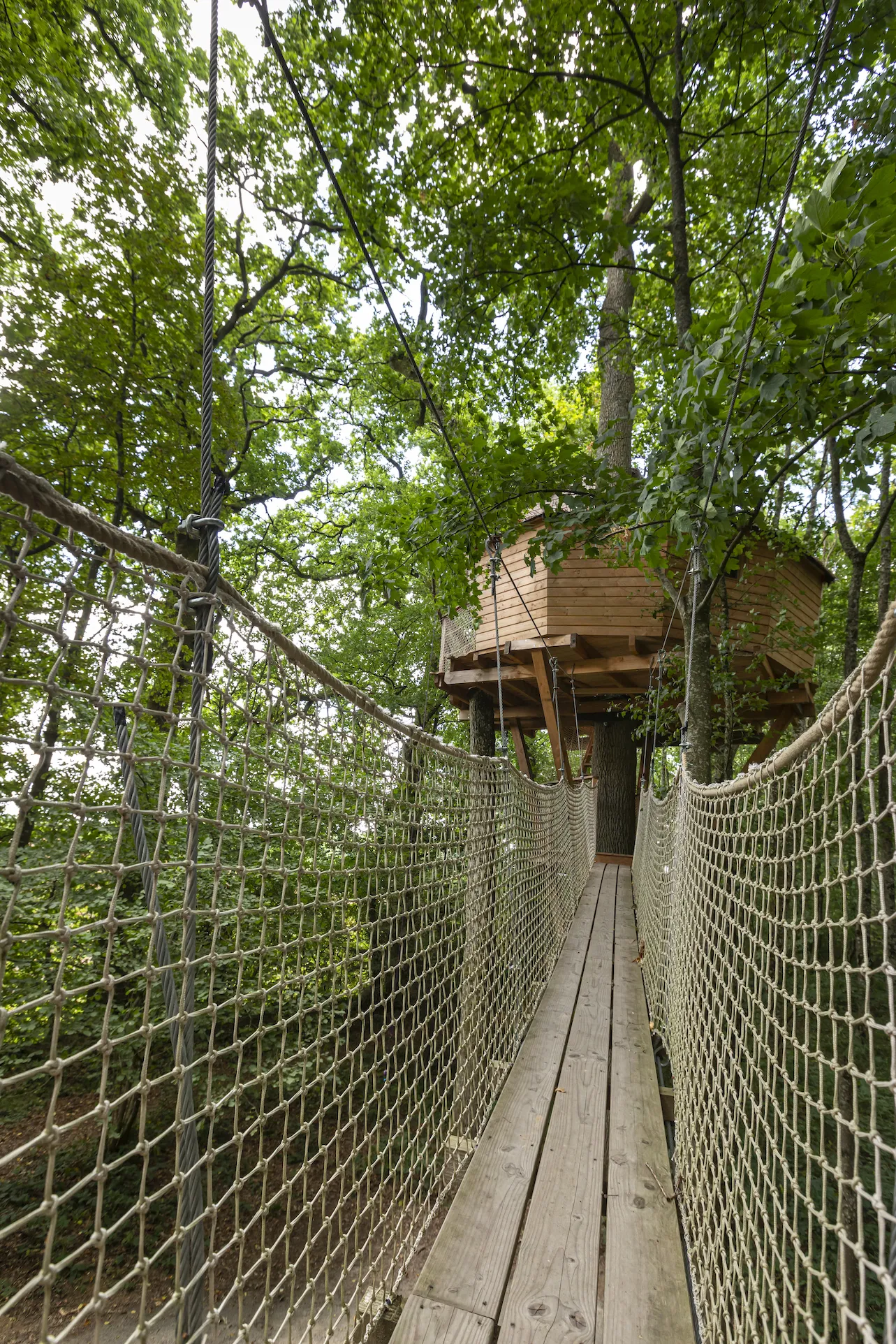 Cabane Monkey Tree de la Grande Noë, Longny les Villages : image 2
