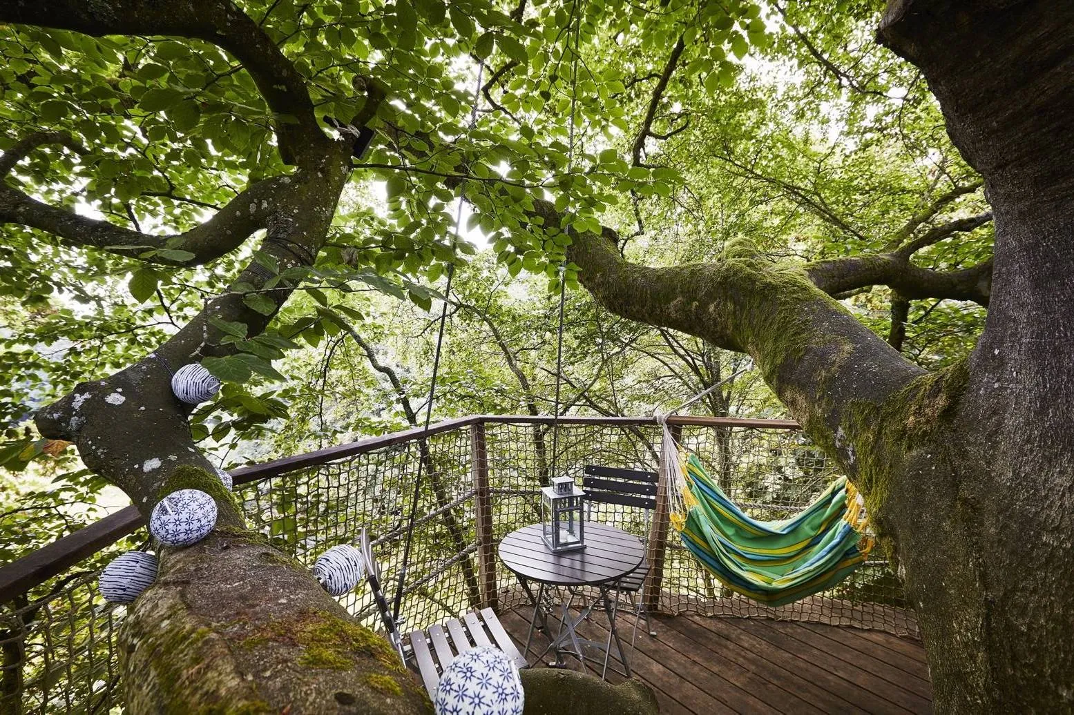 Cabane perchée du Perche (hébergement insolite à la ferme), Longny les Villages
