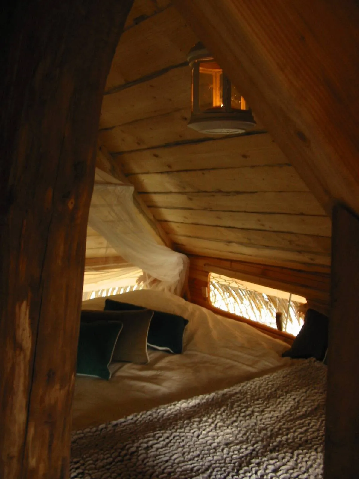 Cabane perchée du Perche, Longny les Villages : image 4
