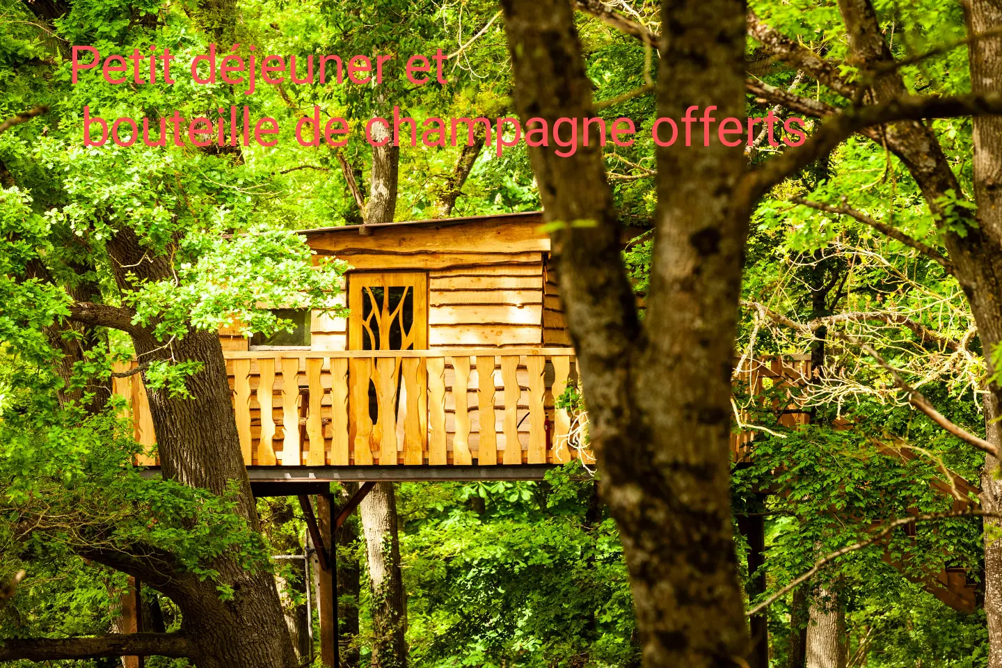 Cabane Perchée Chez Yahmz (hébergement insolite à la ferme), Bransles