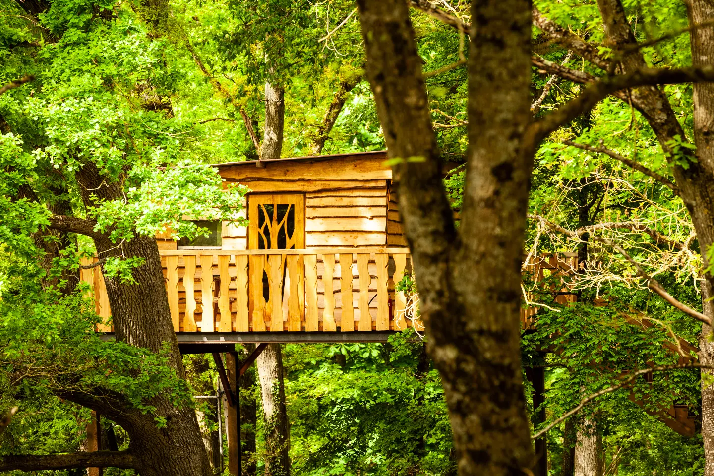 Cabane Perchée Chez Yahmz, Bransles : image 4