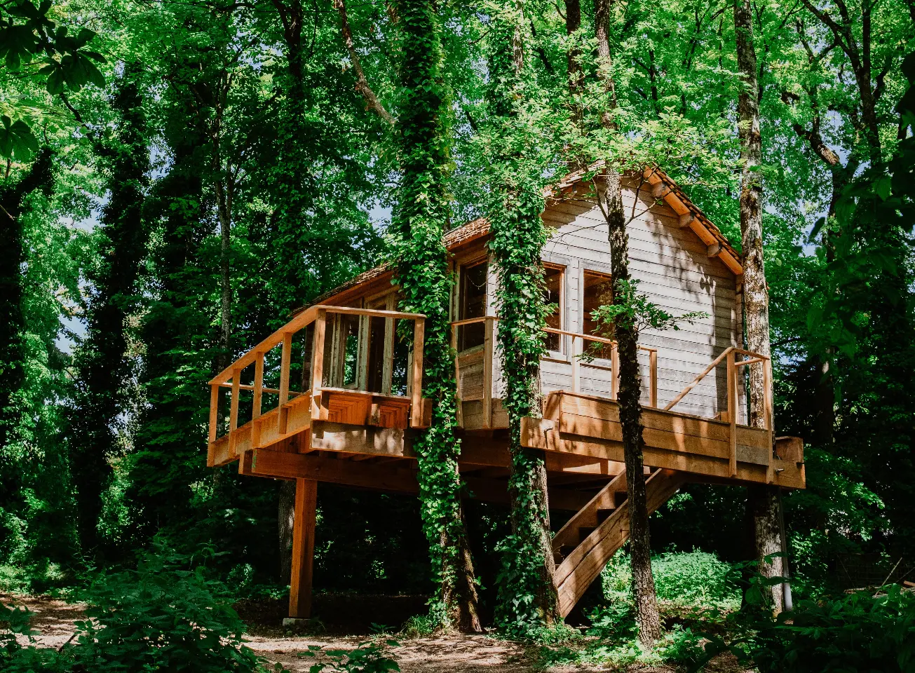 Cabane perchée de la Tortillère, Marçay : image 2