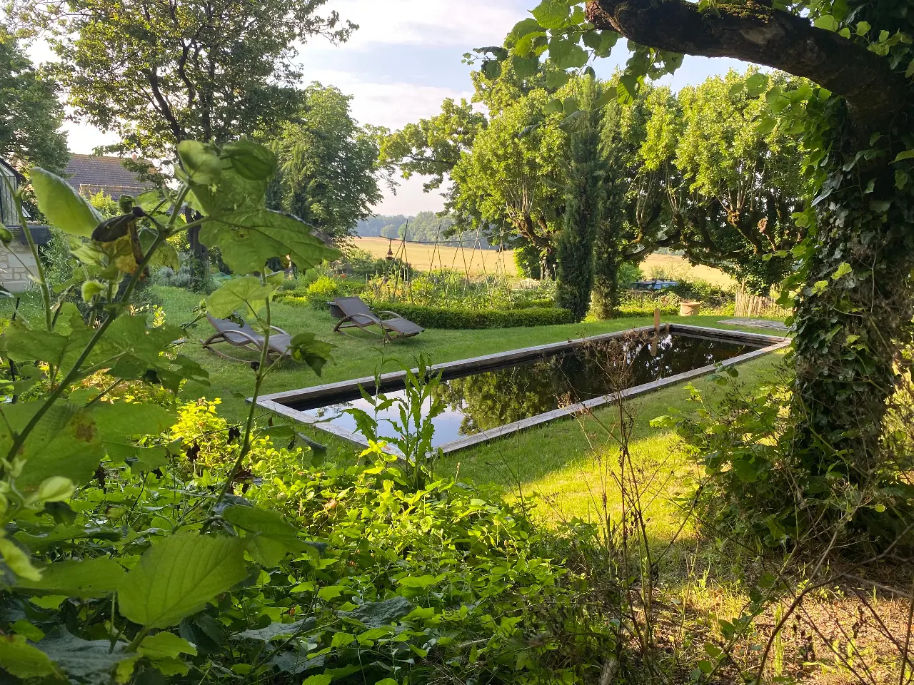 Cabane perchée de la Tortillère, Marçay : image 3