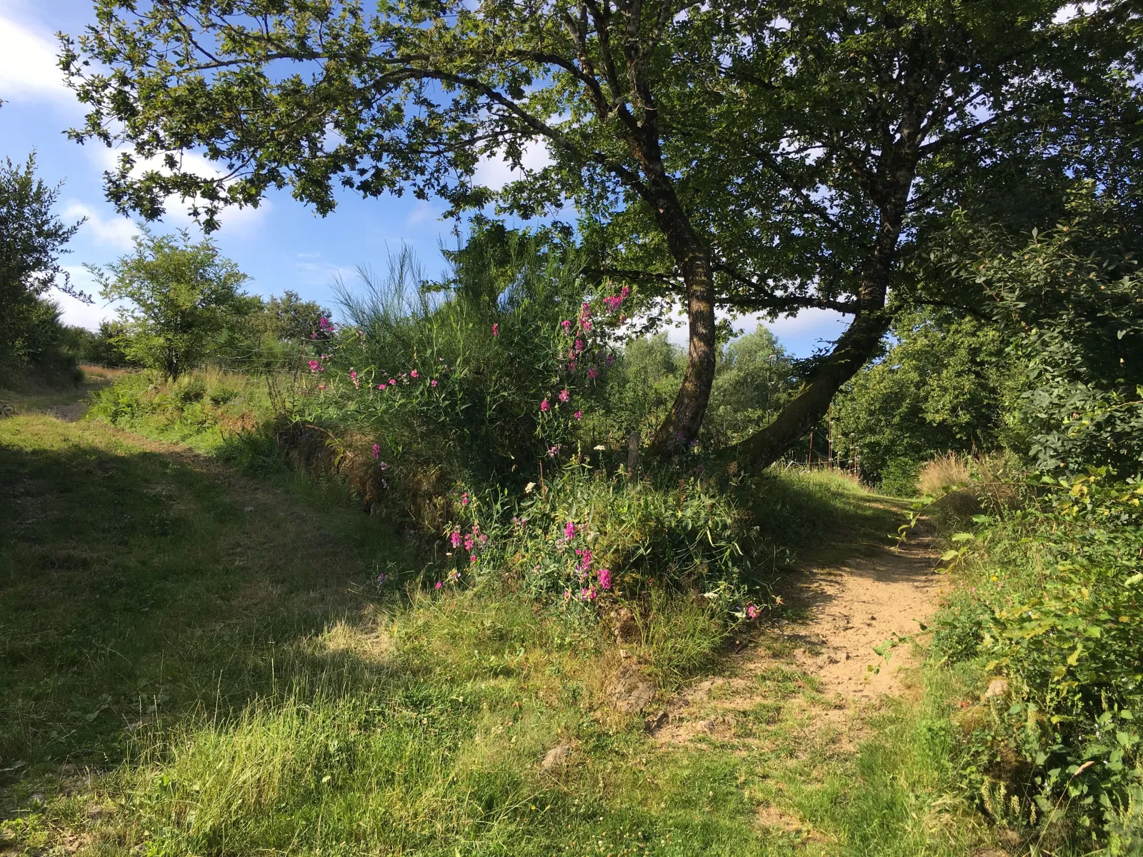 Cabane Poussière d'étoile, Argentat-sur-Dordogne : image 3