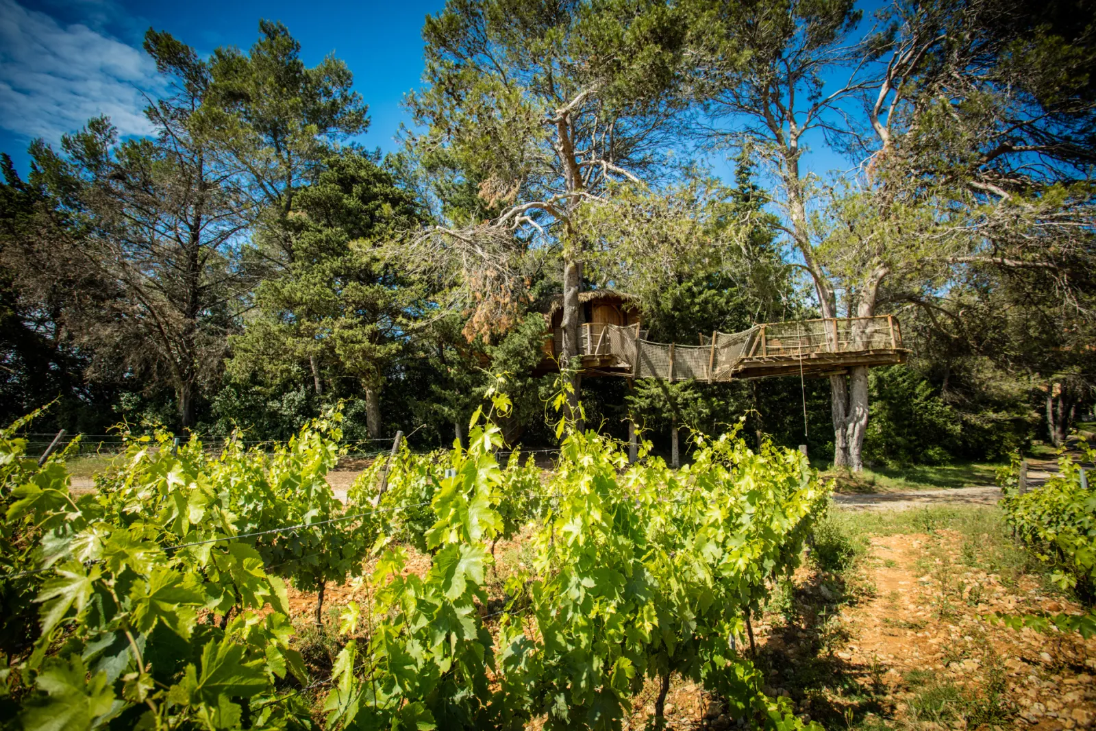 Cabane Rollier, Castries : image 2