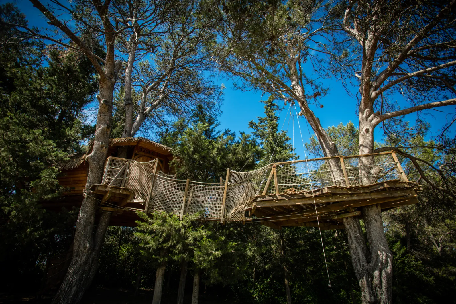 Cabane Rollier, Castries : image 3