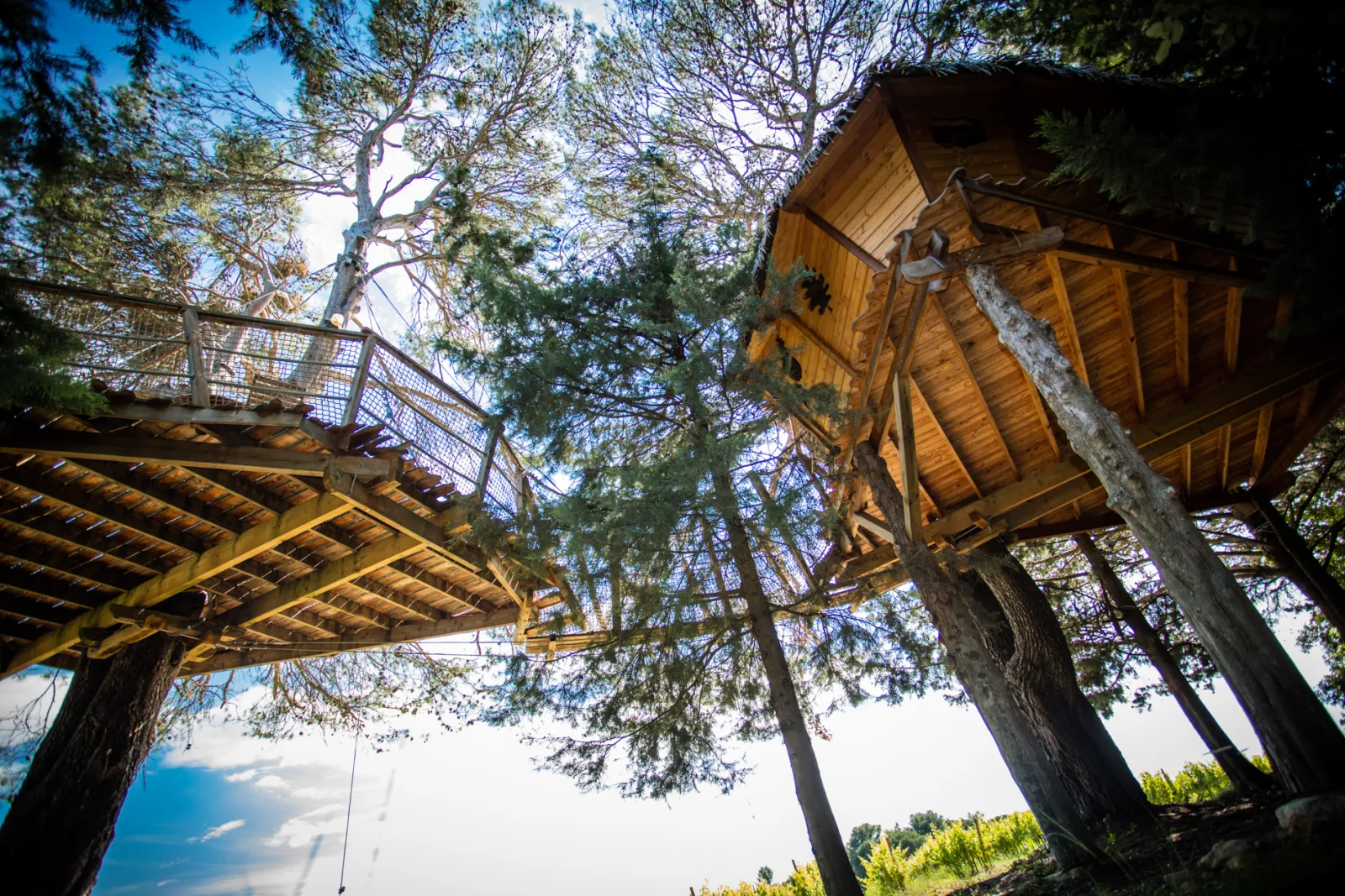 Cabane Rollier, Castries : image 4