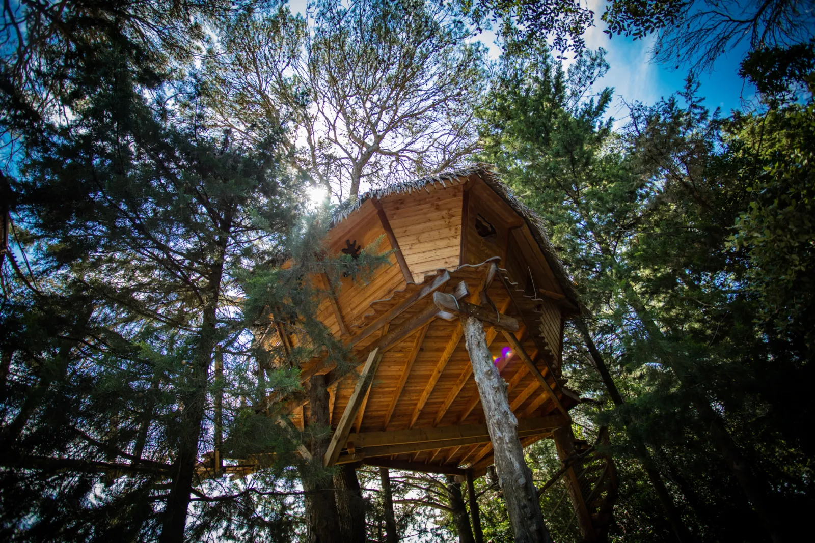 Cabane Rollier, Castries : image 5