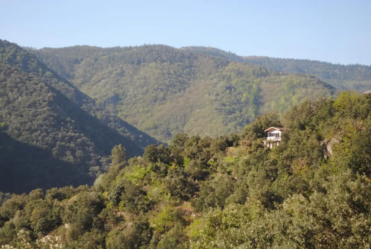 Cabane Sorène, Pied-de-Borne : image 4