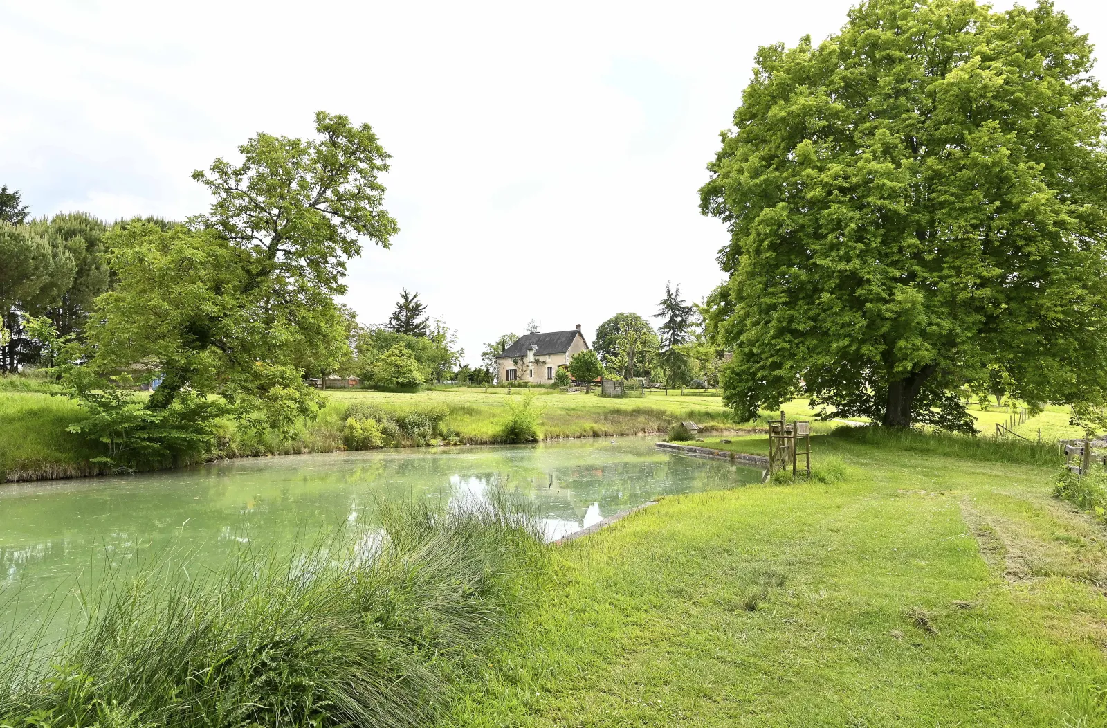 Cabane Végétalisée La Gadouillère, Descartes : image 5