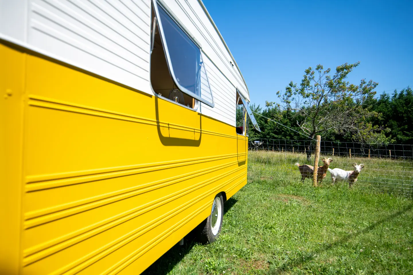 Caravane insolite du Pérougord, Rouffignac-Saint-Cernin-de-Reilhac : image 5