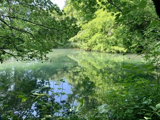 Chalet au Bord de l'Eau et des Chevaux, Sauvigny-les-Bois : image 4