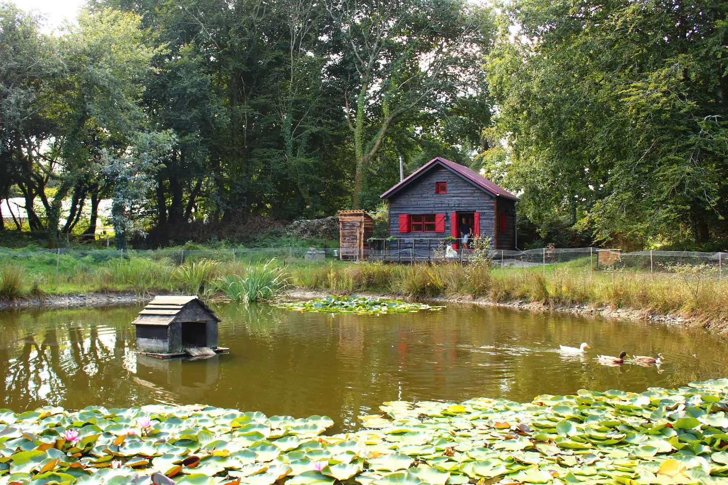 Chalet de la Ferme du Séquoia, Paule : image 4