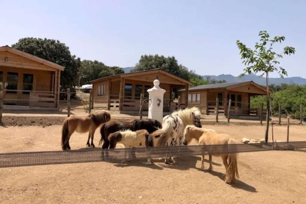 Chalet de Tesa 4 (hébergement insolite à la ferme), Occhiatana