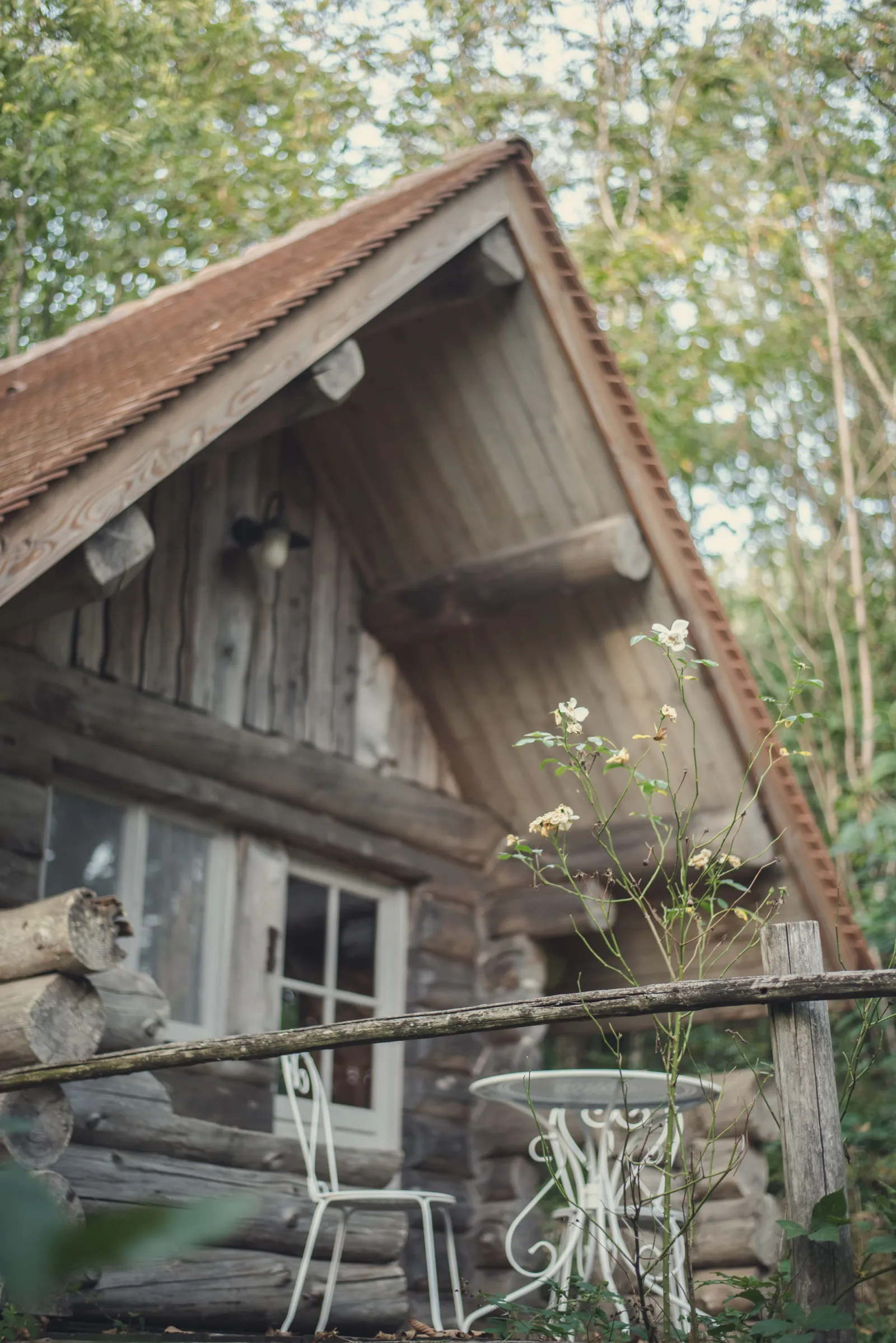 Chalet en Rondins de la Ferme de la Goursaline, Bussière-Galant : image 4