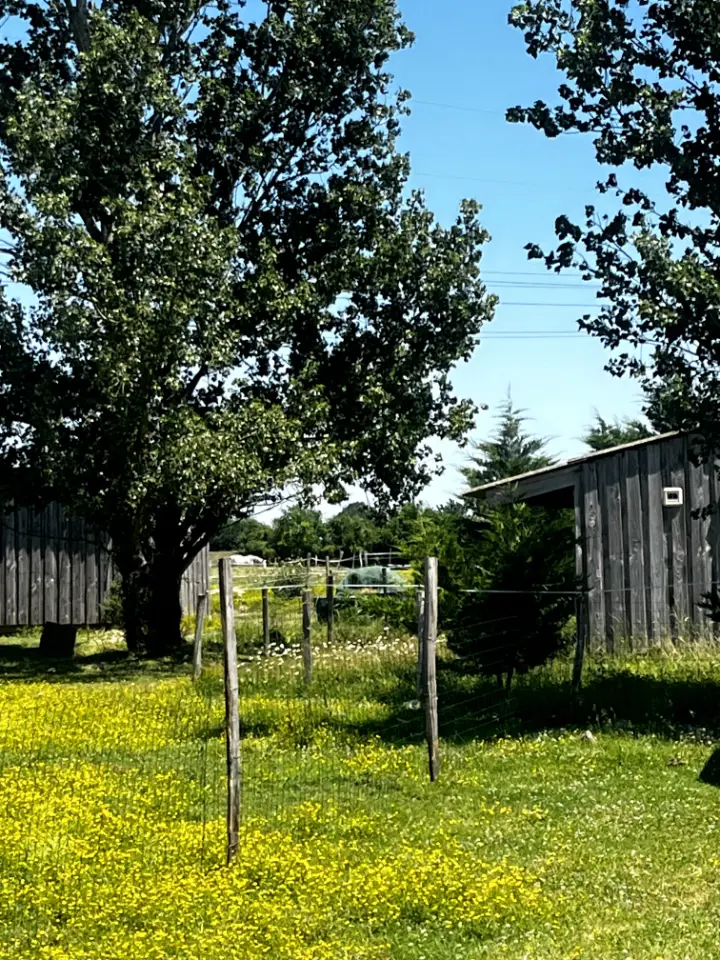 Chalet Equi-libre (gîte à la ferme), Merville