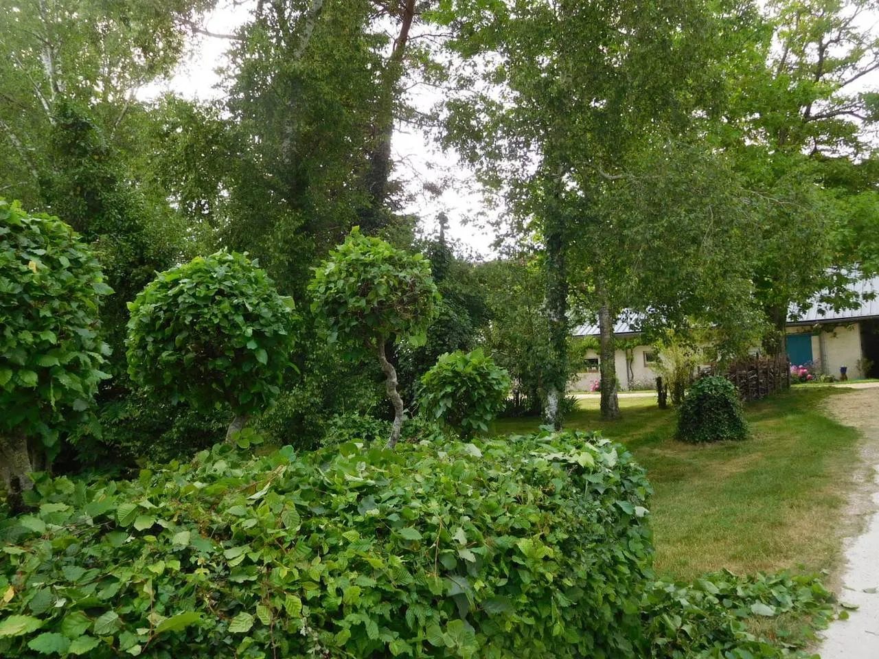 Chambre 2 de la ferme bio, Allouis : image 5
