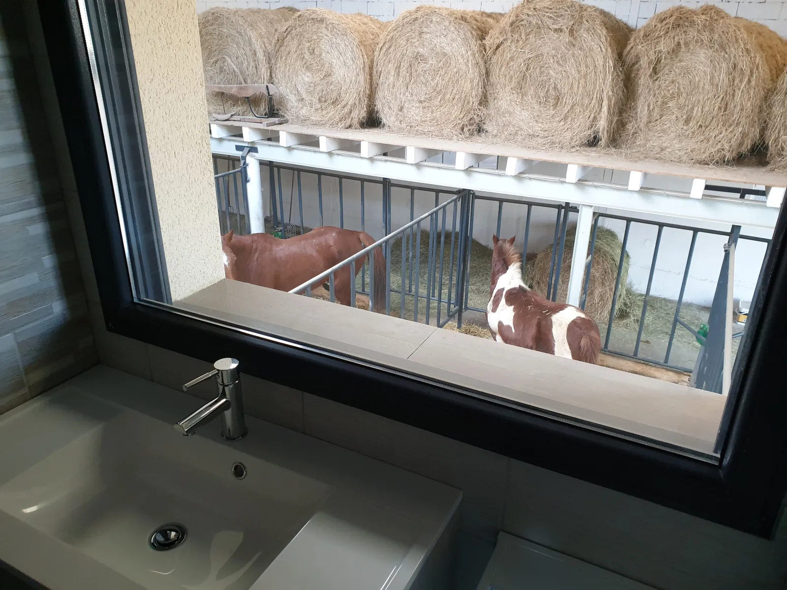 Chambre 4 des Equi-lodges, Fraisnes-En-Saintois : image 2