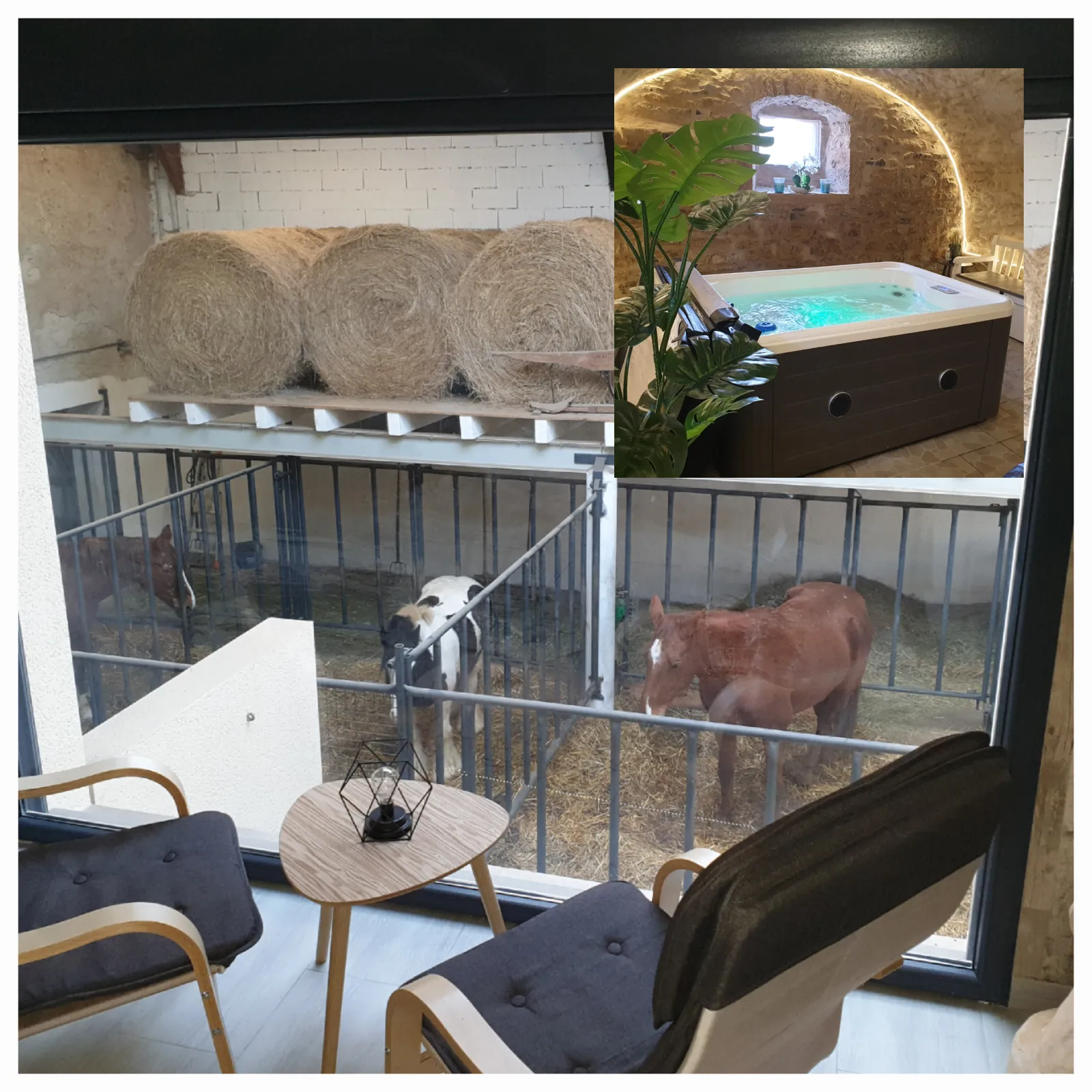 Chambre 4 des Equi-lodges, Fraisnes-En-Saintois : image 3