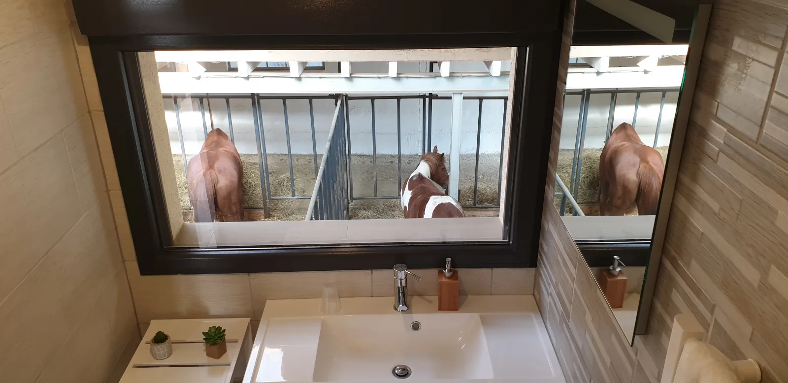 Chambre 5 des Equi-lodges (hébergement insolite à la ferme), Fraisnes-En-Saintois