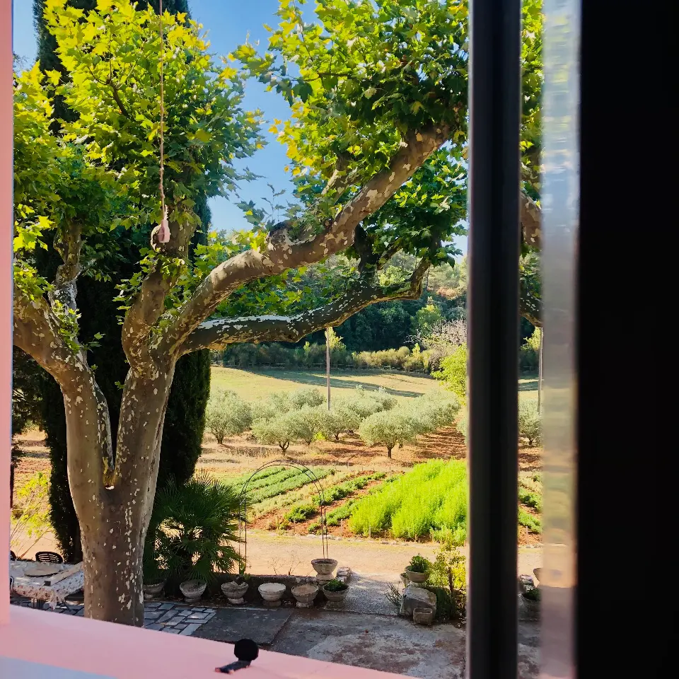 Chambre avec vue sur l'oliveraie (chambre d'hôtes à la ferme), Aups