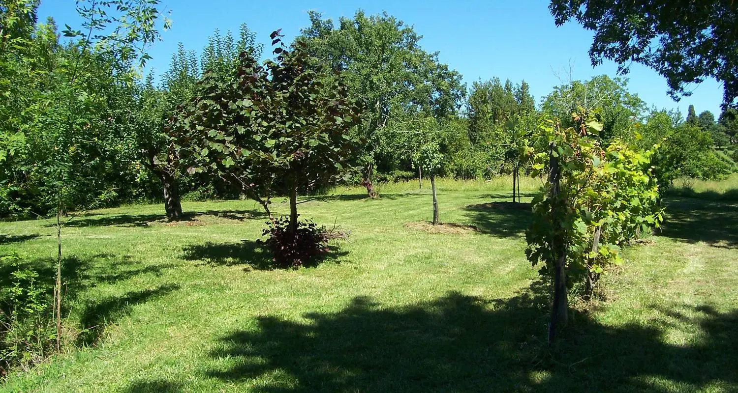 Chambre Blanche du Château Laroque, Saint-Antoine-de-Breuilh : image 5