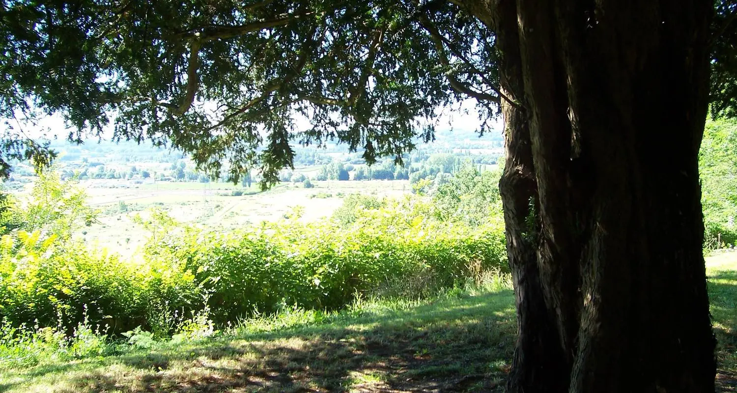 Chambre Bleue du Château Laroque, Saint-Antoine-de-Breuilh : image 4