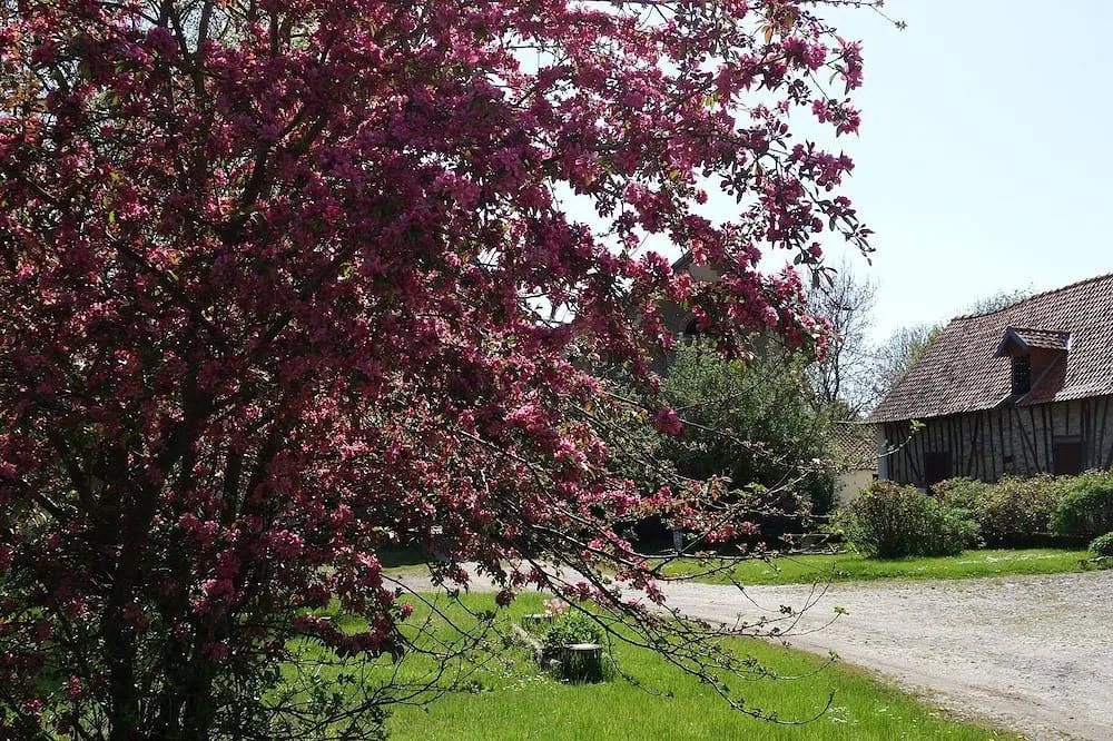 Chambre d'hôtes de la Ferme de Tigny, Tigny-Noyelle : image 5