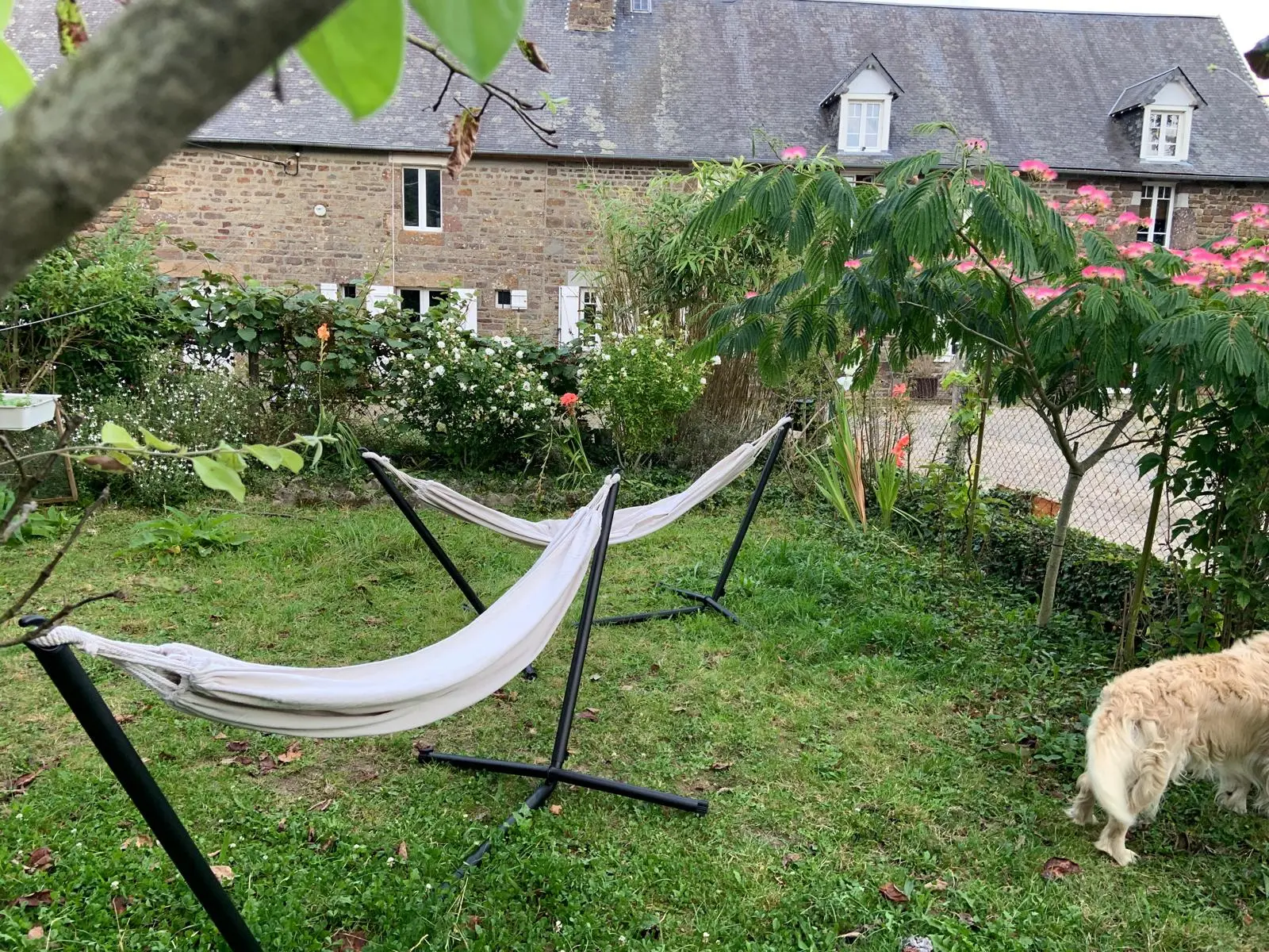 Chambre d'hôtes du Haras, Hambye : image 3
