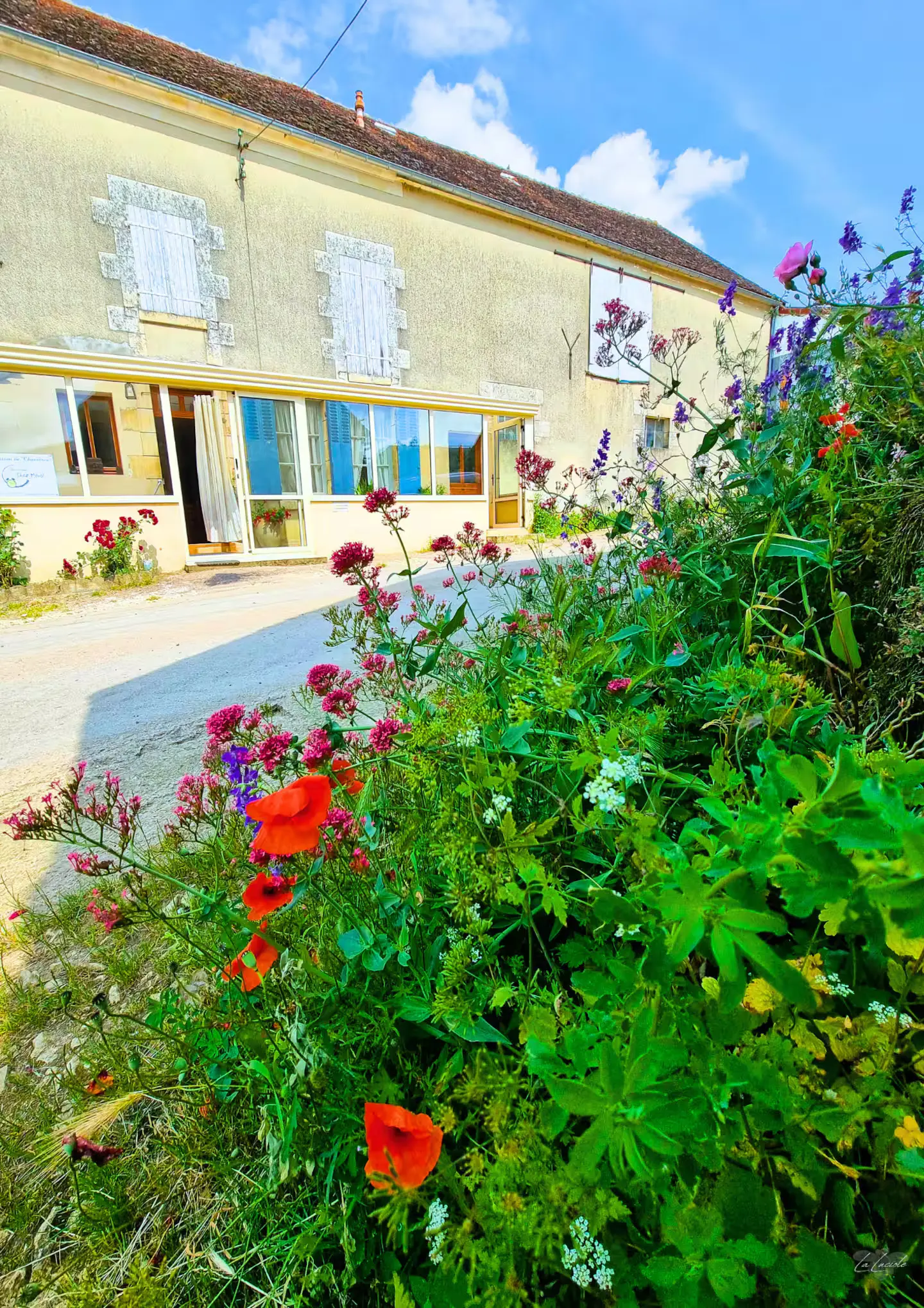 Chambre de Dédé (chambre d'hôtes à la ferme), Treigny-Perreuse-Sainte-Colombe