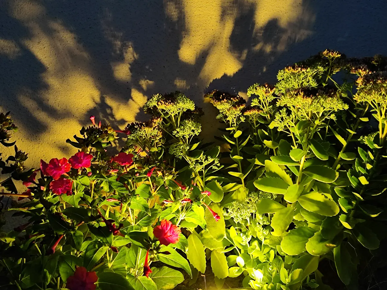 La Bocagère, Les Herbiers : image 3