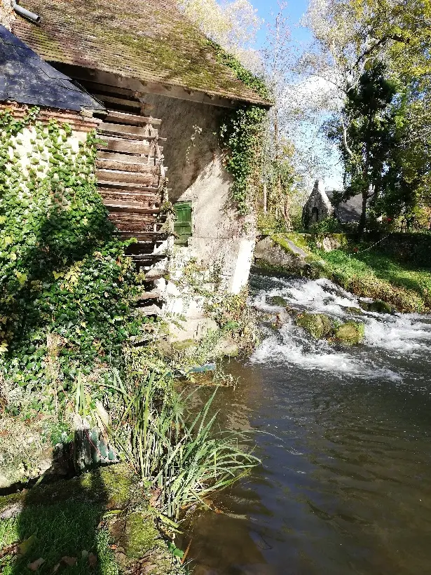 Chambre La Braye du Moulin de Champrond, Champrond : image 3