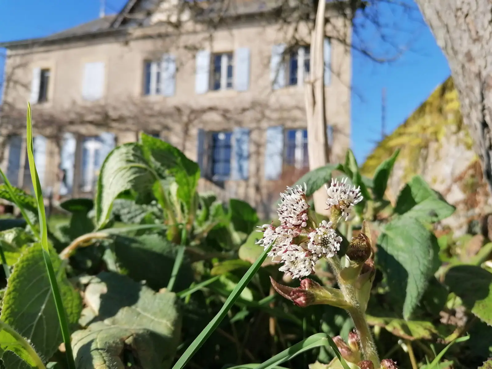 Chambre La Chouette Heureuse au Temps Serein, Le Bas Ségala : image 2