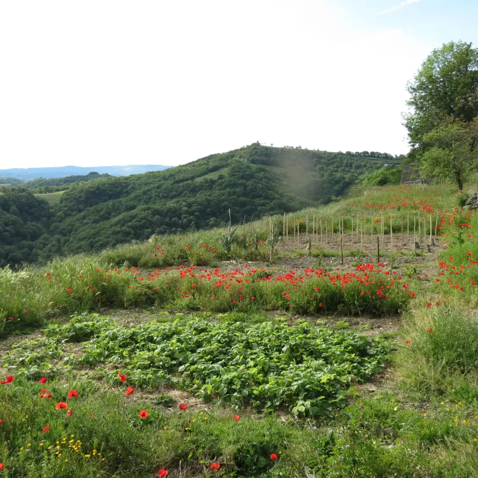 Chambre Marcillac du Mas de Labro, Marcillac-Vallon : image 3