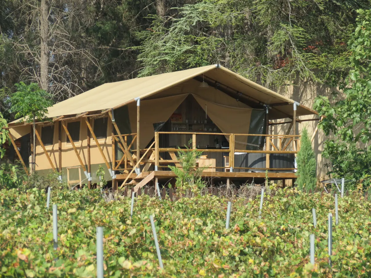 Chambre Merlot (chambre d'hôtes à la ferme), Laure-Minervois