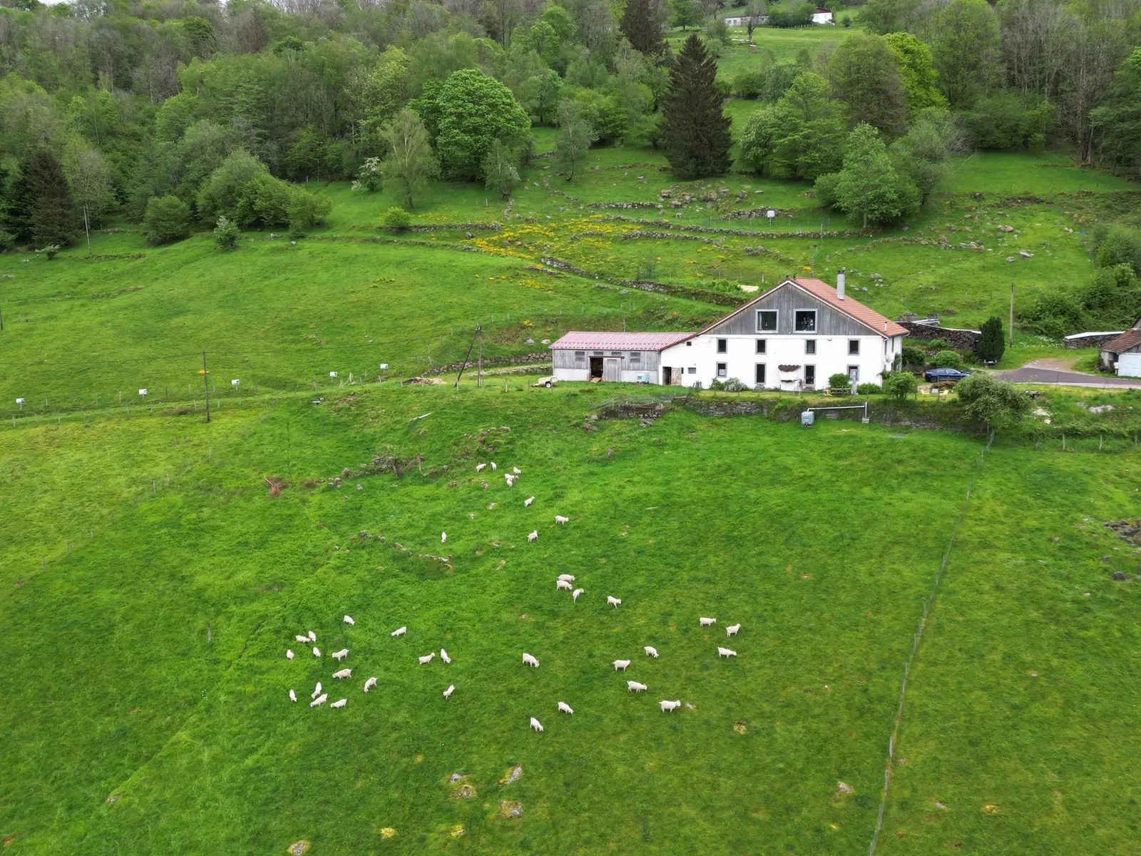 Chambre Point Mousse (chambre d'hôtes à la ferme), Cornimont