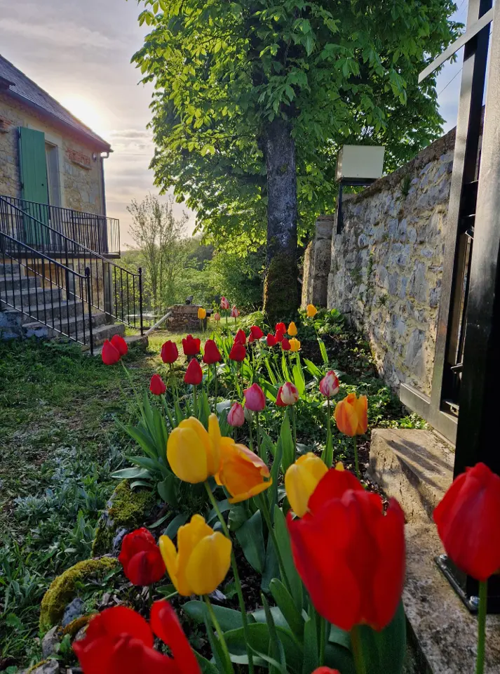 Chambre Prana (chambre d'hôtes à la ferme), Thenon
