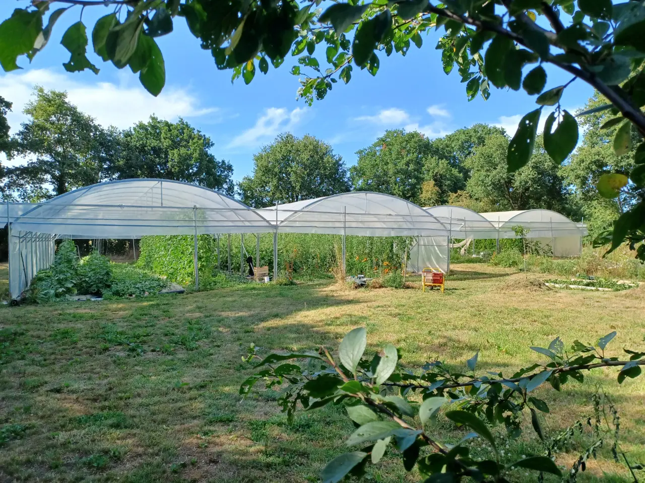 Chambre Rosa Belle, Plessé : image 5
