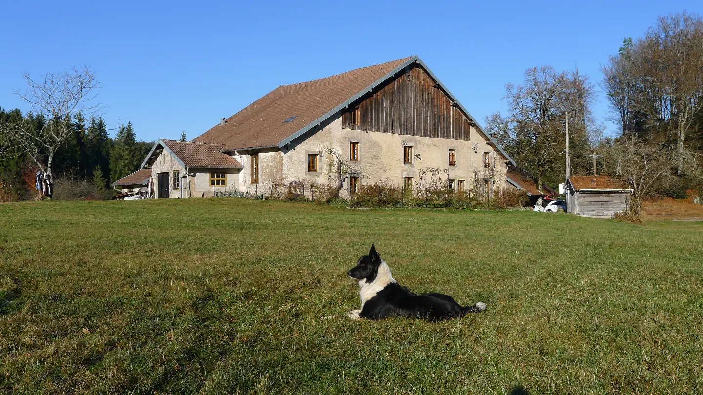 Chambre Verte de la Ferme aux Moineaux (chambre d'hôtes à la ferme), Dommartin-lès-Remiremont