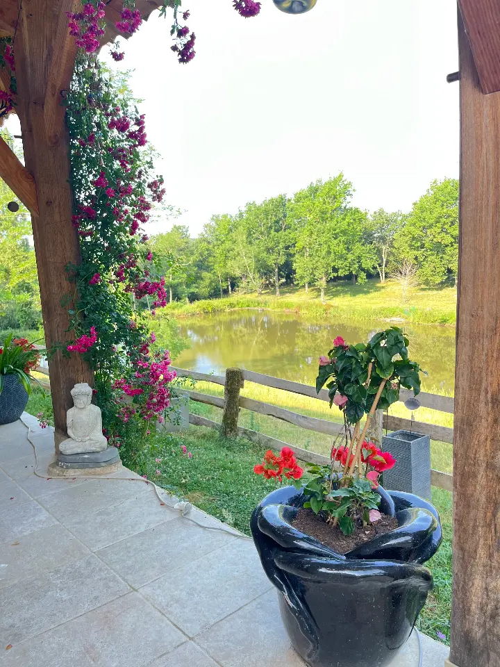 Chambre vue sur lac de La Bastide, Armous-et-Cau : image 3