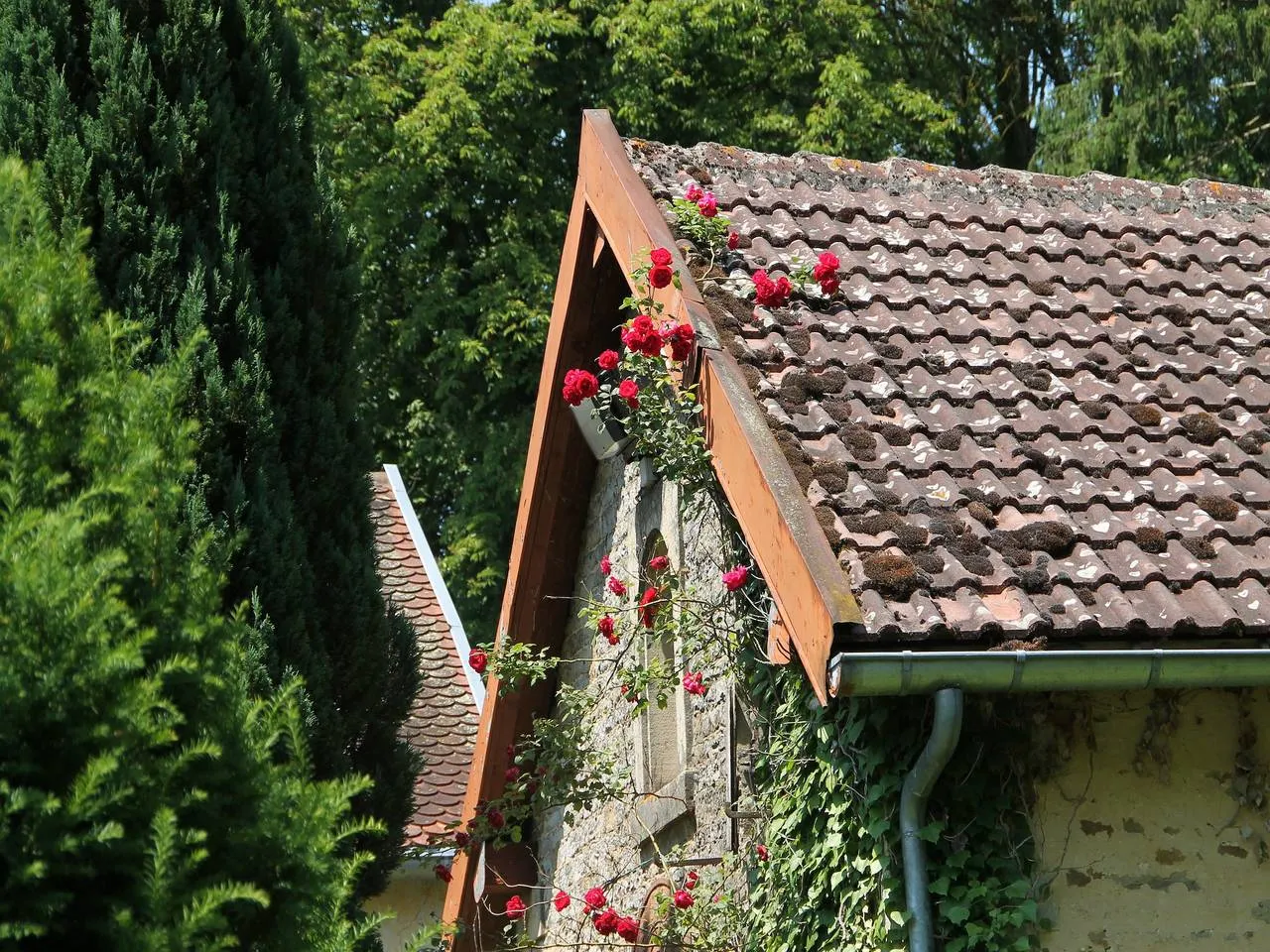 Château à Anrosey, Anrosey : image 2