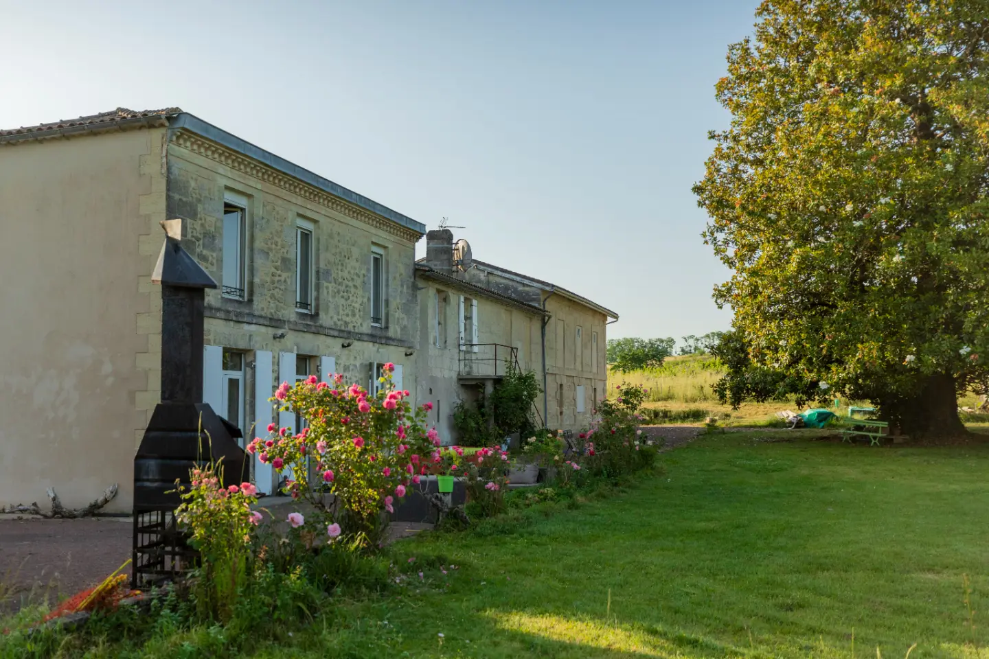 Château Camponac, Bourg : image 2