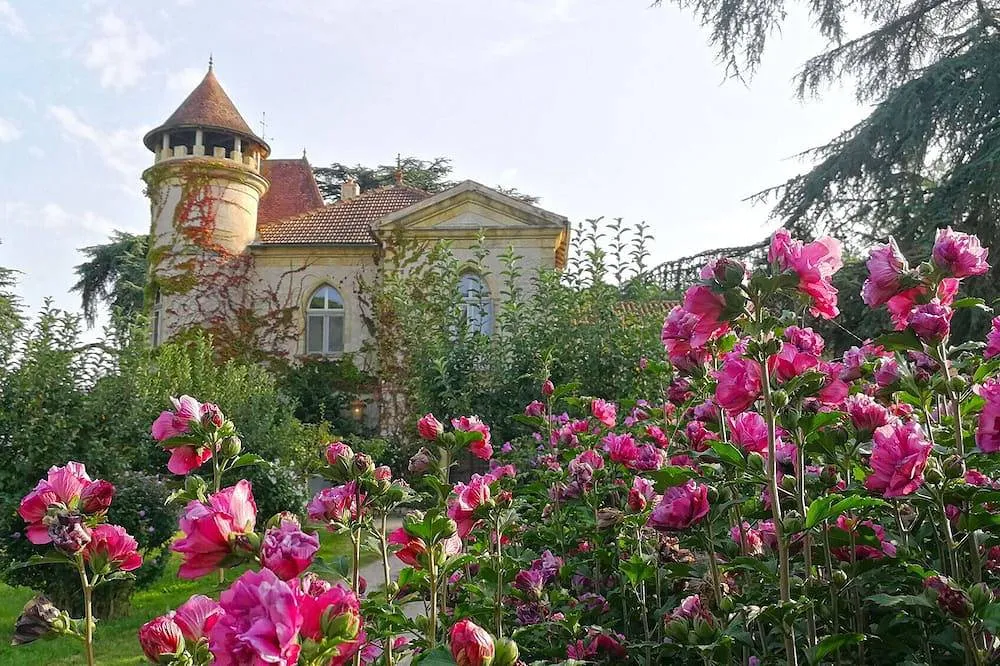 Château de Marteret, Caillavet : image 4