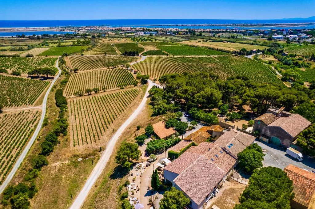 Château le Bouïs (chambre d'hôtes à la ferme), Gruissan