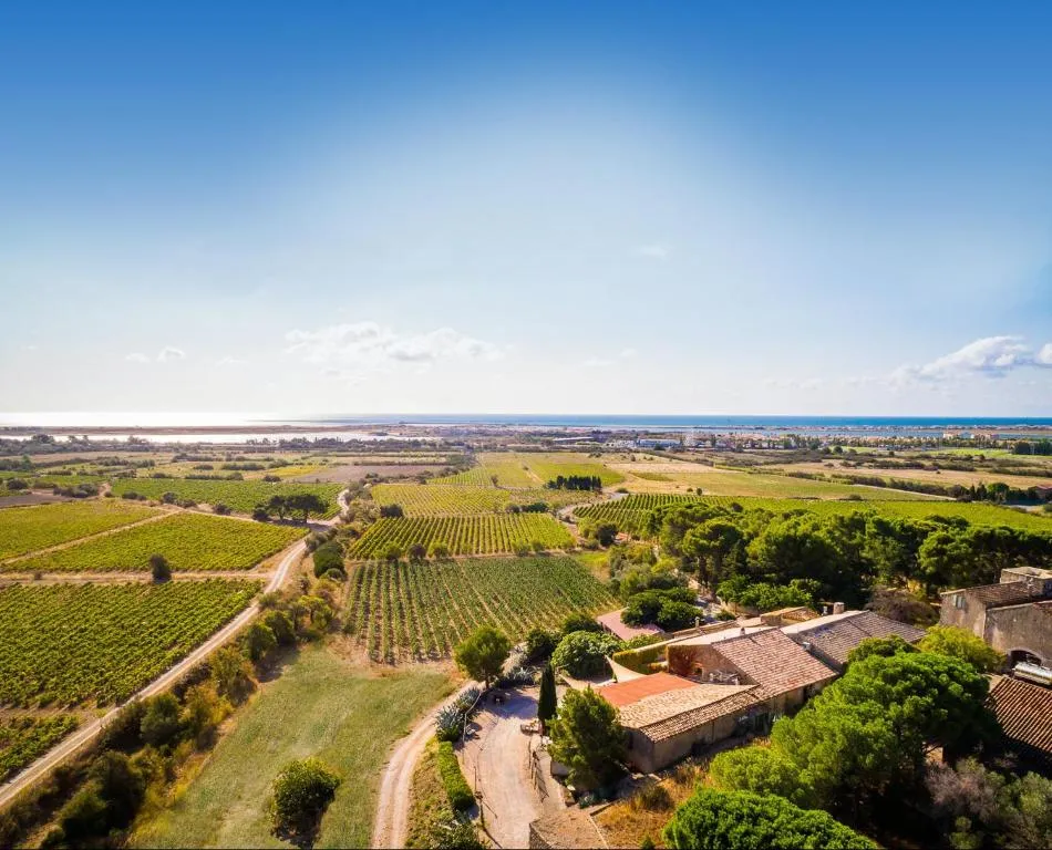 Château le Bouïs, Gruissan : image 5