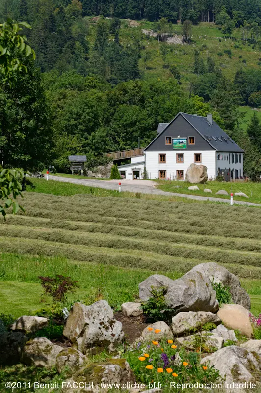 Chez Valentin (gîte à la ferme), Orbey